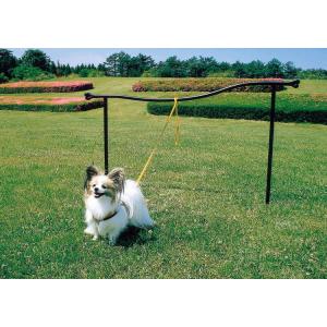 ドッグランポール ペット用品 犬用品 ドッグステイ エクステリア アイアン リード固定