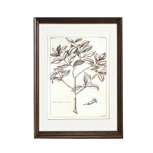 植物 額絵 フレーム 額絵 芸術 木 ナチュラル FC-257-A ウォールアート アートパネル おしゃれ 高級感 エレガント アンティーク｜commitand