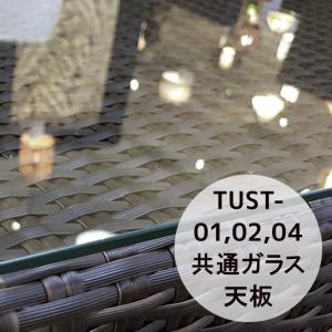 強化ガラス TUST-01/02/04用共通ガラス天板｜commitand