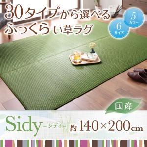 30タイプから選べる国産ふっくらい草ラグ Sidy シディ 140×200cm 和風 マット 敷き物...