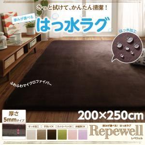 厚みが選べる！ 撥水ラグ Repewell レペウェル 5mm厚タイプ 200×250cm ダイニン...
