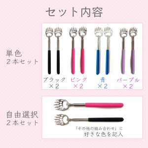 孫の手 2本セット まごの手 伸縮自在 熊の手...の詳細画像2