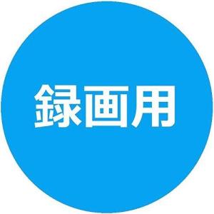 ビクター Victor 1回録画用 DVD-R...の詳細画像4