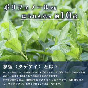 藍茶 九州産 2g×30包 ティーバッグ 60...の詳細画像2