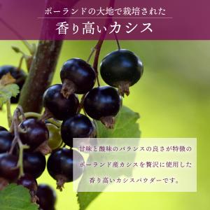 カシス 粉末 スプレードライパウダー カ100...の詳細画像2