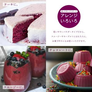 カシス 粉末 スプレードライパウダー カ100...の詳細画像4