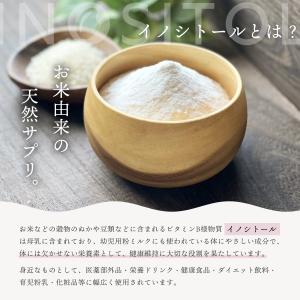 国産 イノシトール パウダー 100g 粉末 ...の詳細画像2