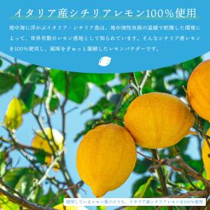 レモン 粉末 100g シチリア レモンパウダ...の詳細画像1