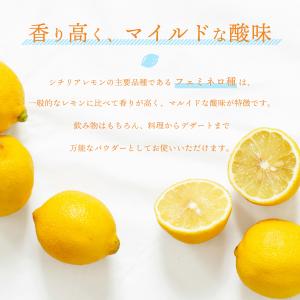 レモン 粉末 100g シチリア レモンパウダ...の詳細画像3