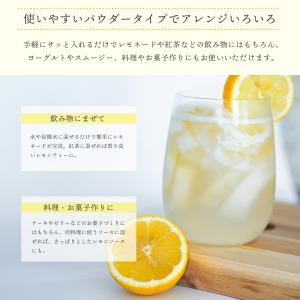 レモン 粉末 100g シチリア レモンパウダ...の詳細画像4