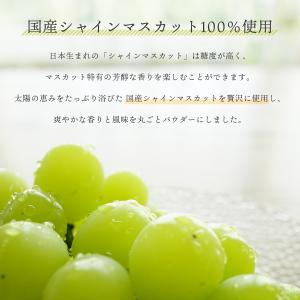 シャインマスカット 粉末 100g 国産 シャ...の詳細画像2