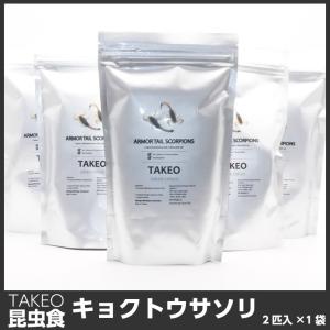 昆虫食 キョクトウサソリ 2匹入り 4cm〜5cm TAKEO タイ パーティーグッズ 食べ物 食品 面白グッズ 面白いお菓子 プレゼント 昆虫 スナック 食用