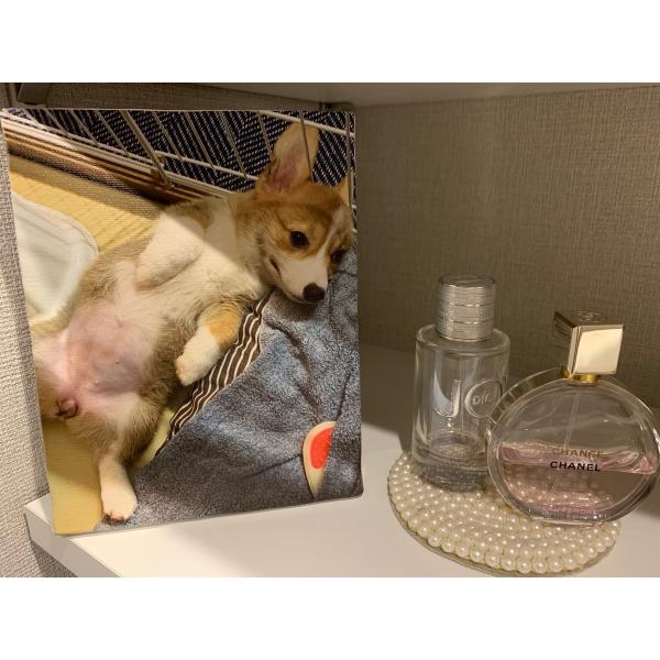 キャンバスパネル印刷・キャンバスプリント