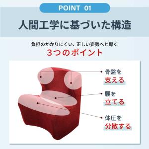 姿勢サポートチェア MTG Style Dr....の詳細画像2