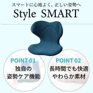 姿勢 サポートチェア MTG スタイルスマート...の詳細画像1
