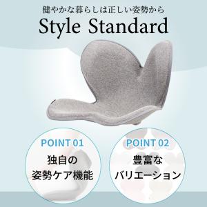 姿勢サポートチェア MTG スタイルスタンダー...の詳細画像1