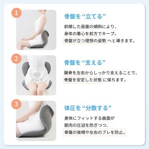 姿勢サポートチェア MTG スタイルスタンダー...の詳細画像4