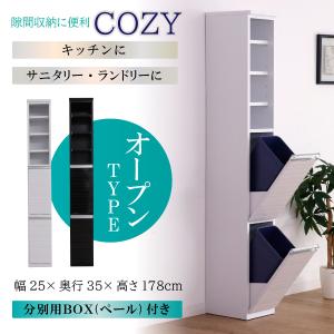 ※2/18　不明ゴミ箱 スリム型 ダストボックス すき間収納 すきま家具 2分別 ペール付き ランドリー キッチン 洗面所 幅25cm ホワイト ブラック 完成品 コ