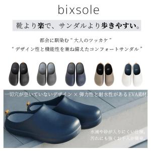 バイソール bi×sole コンフォート 外用...の詳細画像2