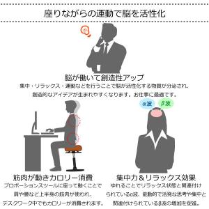 プロポーションスツール CH-800L ロータ...の詳細画像5