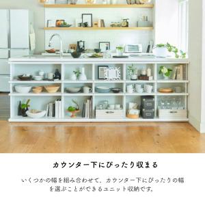 白井産業 カウンター下収納 オープンラック 棚...の詳細画像2
