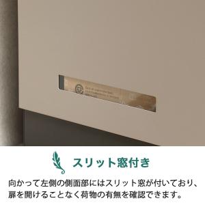 宅配ボックス 郵便ボックス PBX-125 P...の詳細画像3