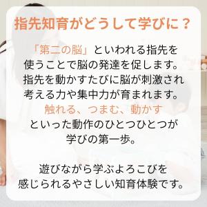 木製 玩具 知育 おもちゃ エデュテ レーベル...の詳細画像2