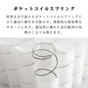 ZINUS ジヌス Prime Suppert...の詳細画像3