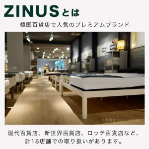 Zero Gravity ゼログラビティ ZI...の詳細画像2