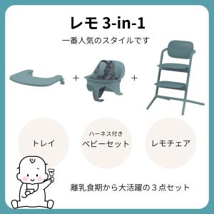 サイベックス レモ3in1 コンフォートインレ...の詳細画像2