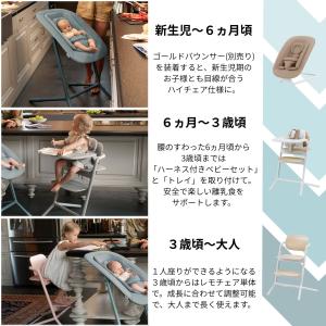 サイベックス レモチェア キッズチェア ハイチ...の詳細画像3