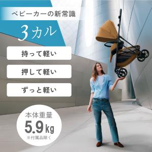 2026 最新作 サイベックス メリオ カーボ...の詳細画像3