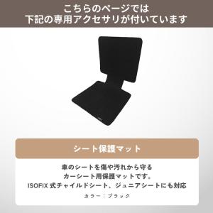 サイベックス PALLAS G3 新型 パラス...の詳細画像2