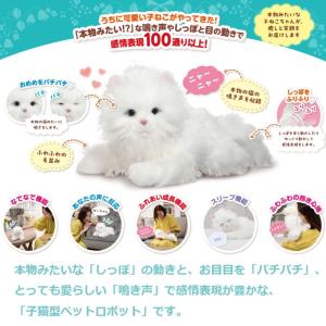しっぽふりふり あまえんぼう子ねこちゃん 電動...の詳細画像1