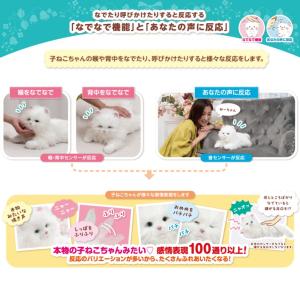 しっぽふりふり あまえんぼう子ねこちゃん 電動...の詳細画像5