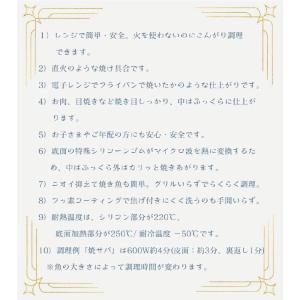 レンジで焼ケール TKSM-33 角型 角形 ...の詳細画像5