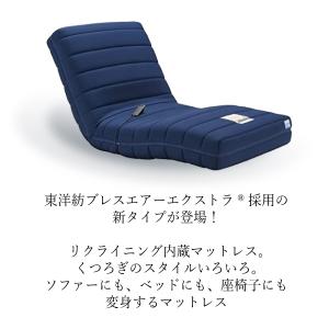 開梱設置付 フランスベッド 正規品 RP-20...の詳細画像1