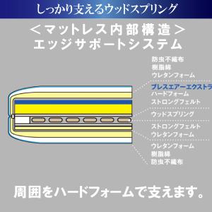 開梱設置付 フランスベッド 正規品 RP-20...の詳細画像5