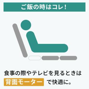 特典付 電動ベッド 介護ベッド 介護用 2モー...の詳細画像3