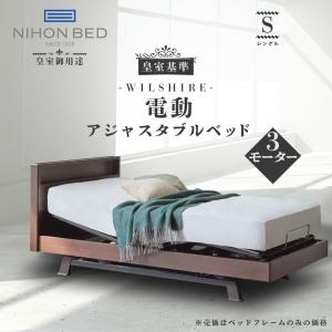 フランスベッド ウォーターベッド用 防腐剤 タブレットタイプ（錠剤）1