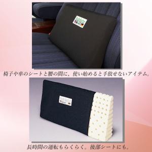 ボディドクター バックアップ Body doc...の詳細画像4