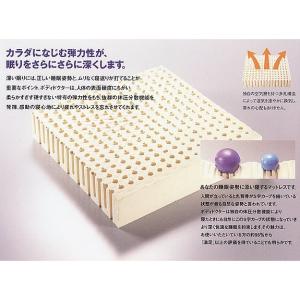 ボディドクター Bodydoctor ドクター...の詳細画像1