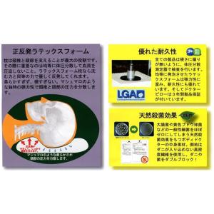 ボディドクター Bodydoctor ドクター...の詳細画像2
