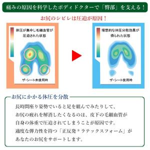 ボディドクター ザ・シート 滑り止め無しタイプ...の詳細画像4