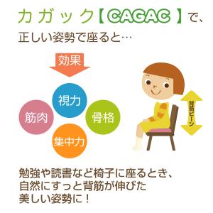 丸菱工業 学習クッション カガック CAGAC...の詳細画像2