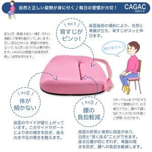 丸菱工業 学習クッション カガック CAGAC...の詳細画像5