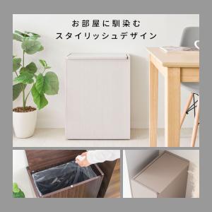 ダストボックス DB-650R ゴミ箱 ごみ箱...の詳細画像2