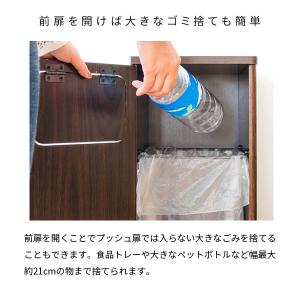 ゴミ箱 DB-800R DSB-800R ダス...の詳細画像5