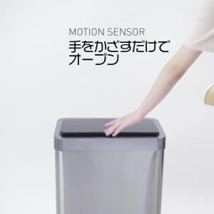 EKO EK9260 45L お洒落ゴミ箱 ス...の詳細画像1