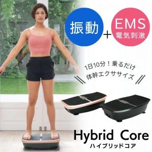 ※2/18　不明ハイブリッドコア Hybrid Core EMS 振動ボード EMS 体幹トレーニング 乗るだけ エクササイズ 振動マシン トランポリン ぶるぶるマシン 廣田遥 ダイ